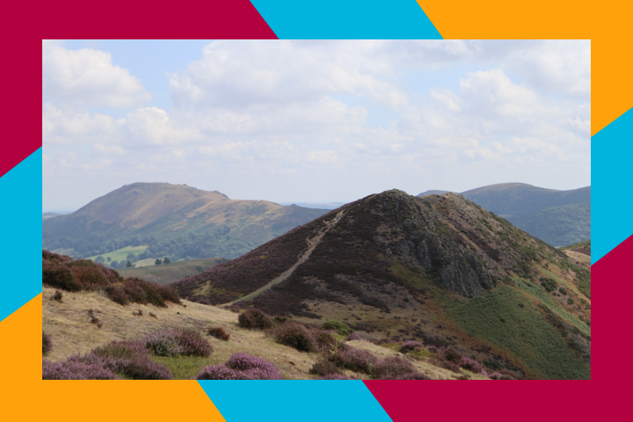 Image from Canva